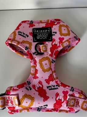 FRIENDS Sassy Woof Pink "You're My Lobster" Dog Harness size XS